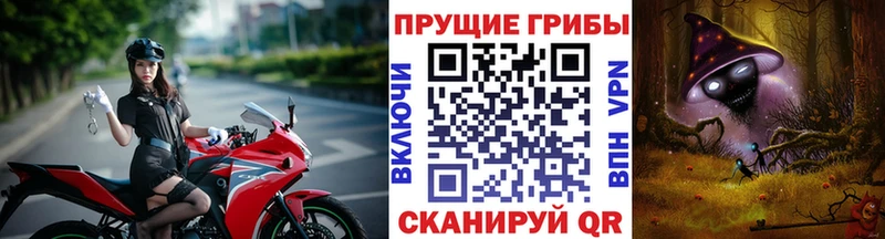 Псилоцибиновые грибы Psilocybine cubensis  ссылка на мегу маркетплейс  Ак-Довурак  купить закладку 